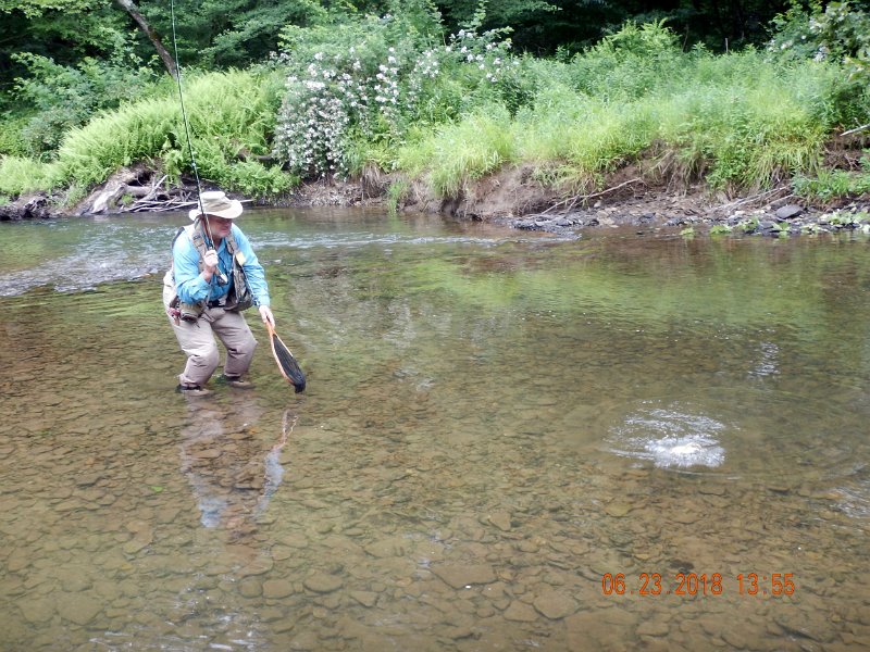 -Kettle Valley-054-.jpg - This was, from all appearances, a heavy fish.